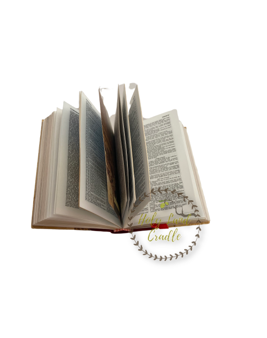 Olive Wood Cover' Bible In English & Spanish