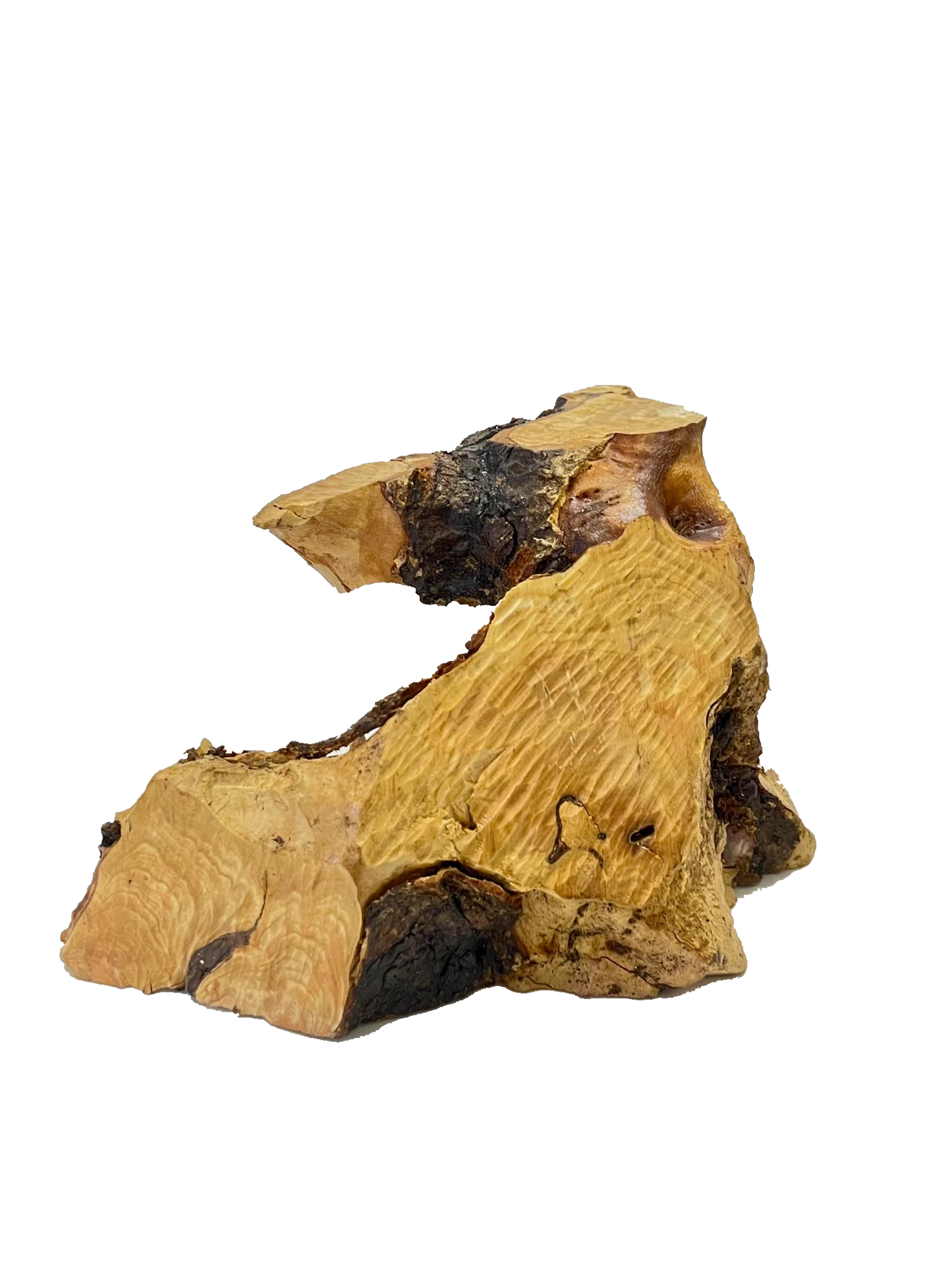 Nativity Cave Olive Wood Branch